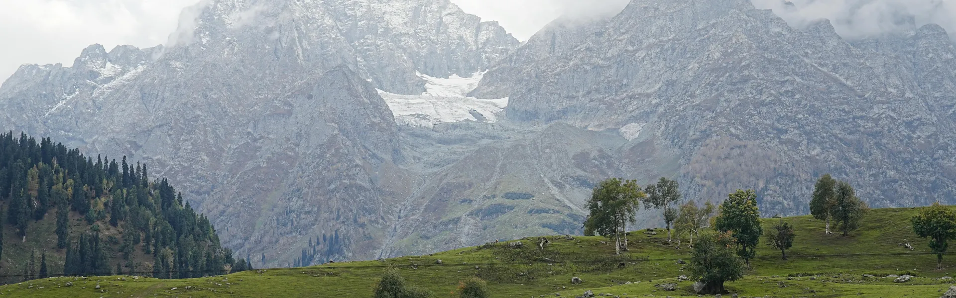 jammu and kashmir