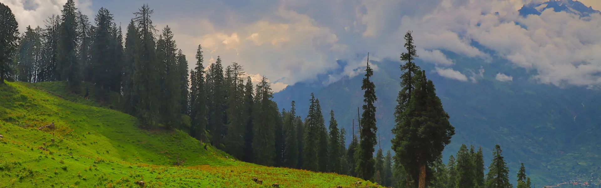 himachal pradesh